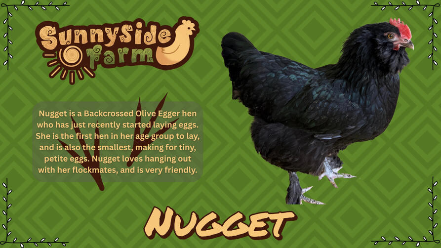 Nugget